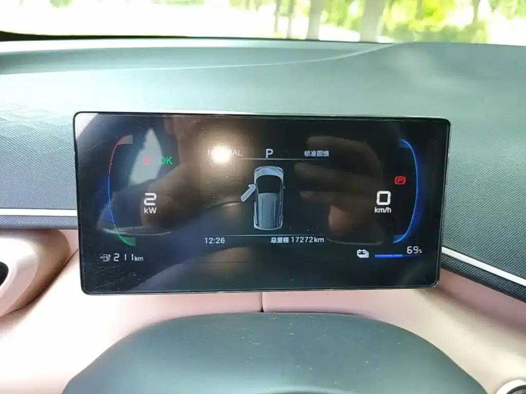 Seagull 2024 Glory Edition 305km/h Vitality Edition — миниатюра 12