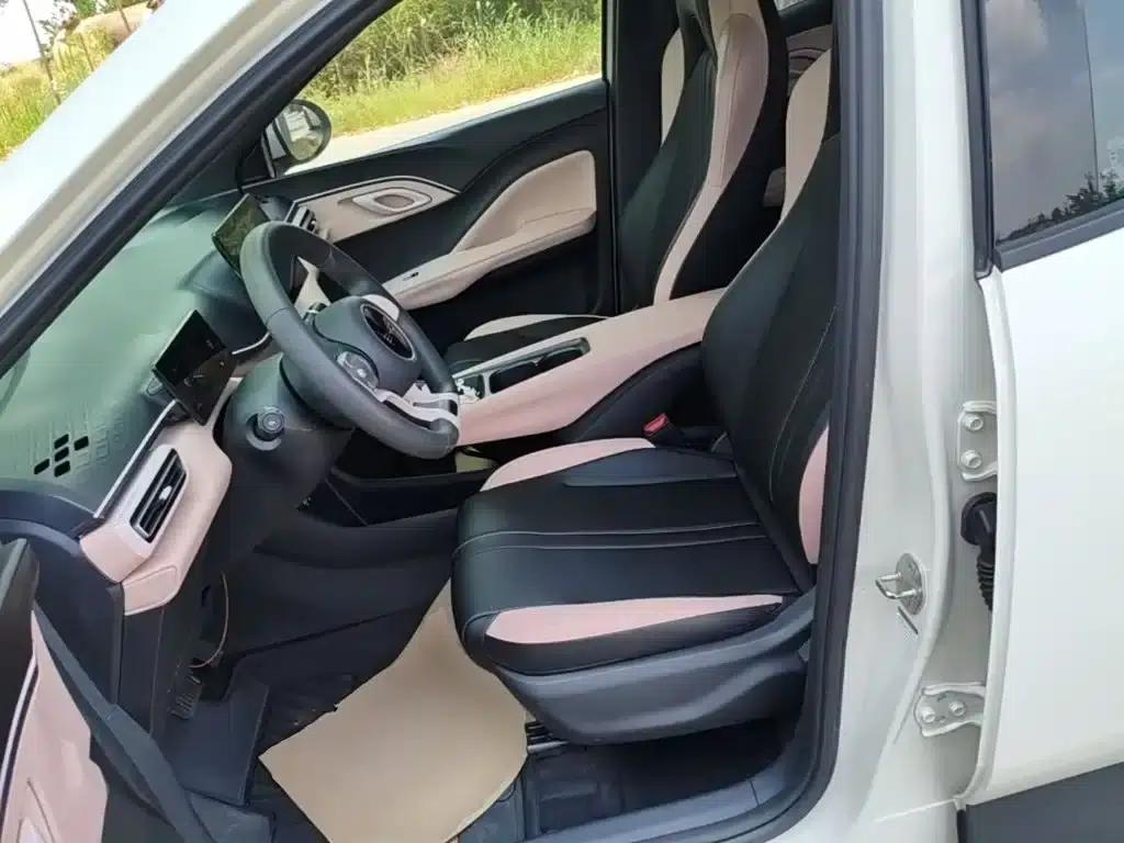 Seagull 2024 Glory Edition 305km/h Vitality Edition — миниатюра 15
