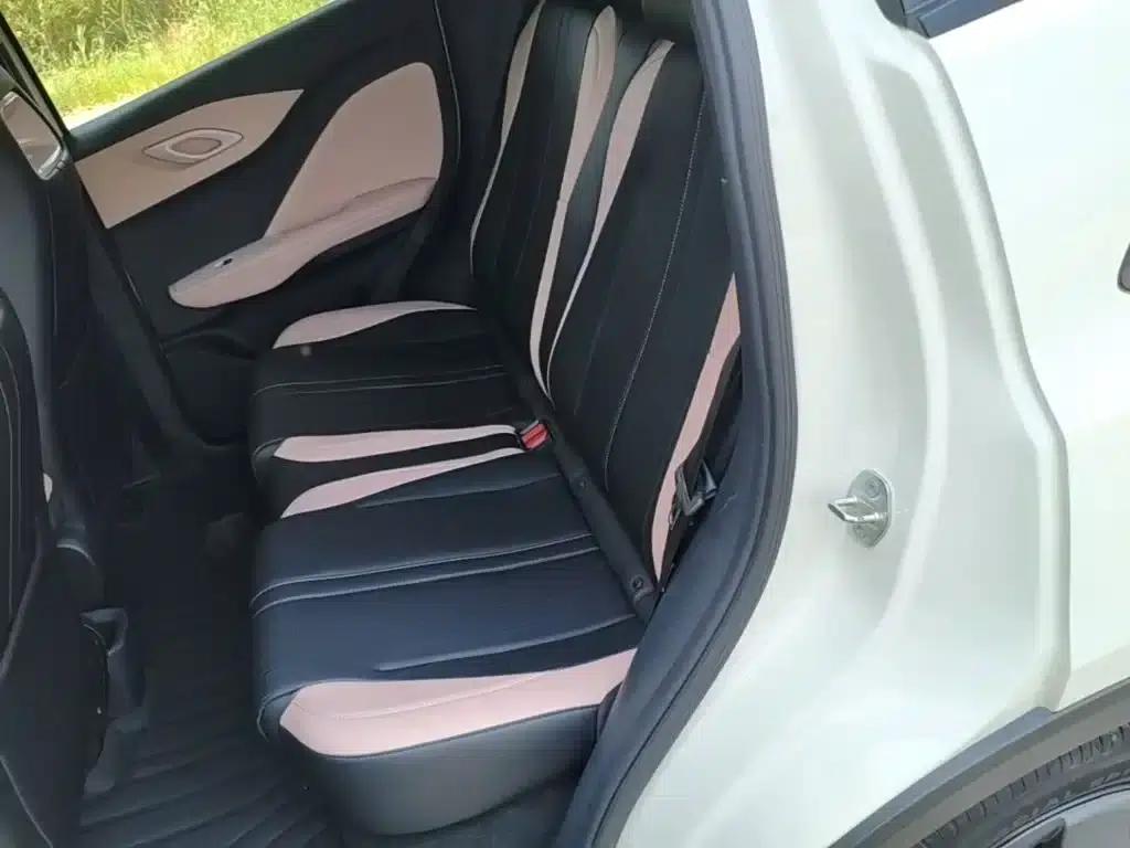 Seagull 2024 Glory Edition 305km/h Vitality Edition — миниатюра 17