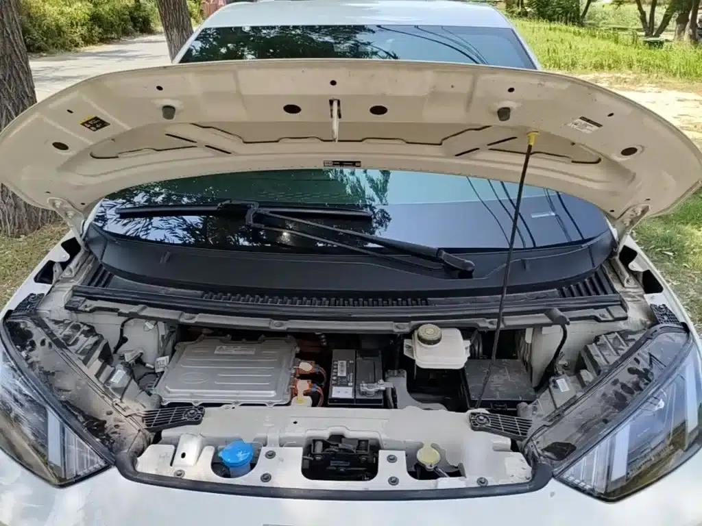 Seagull 2024 Glory Edition 305km/h Vitality Edition — миниатюра 20