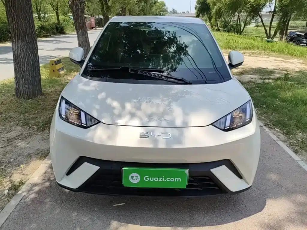 Seagull 2024 Glory Edition 305km/h Vitality Edition — миниатюра 3