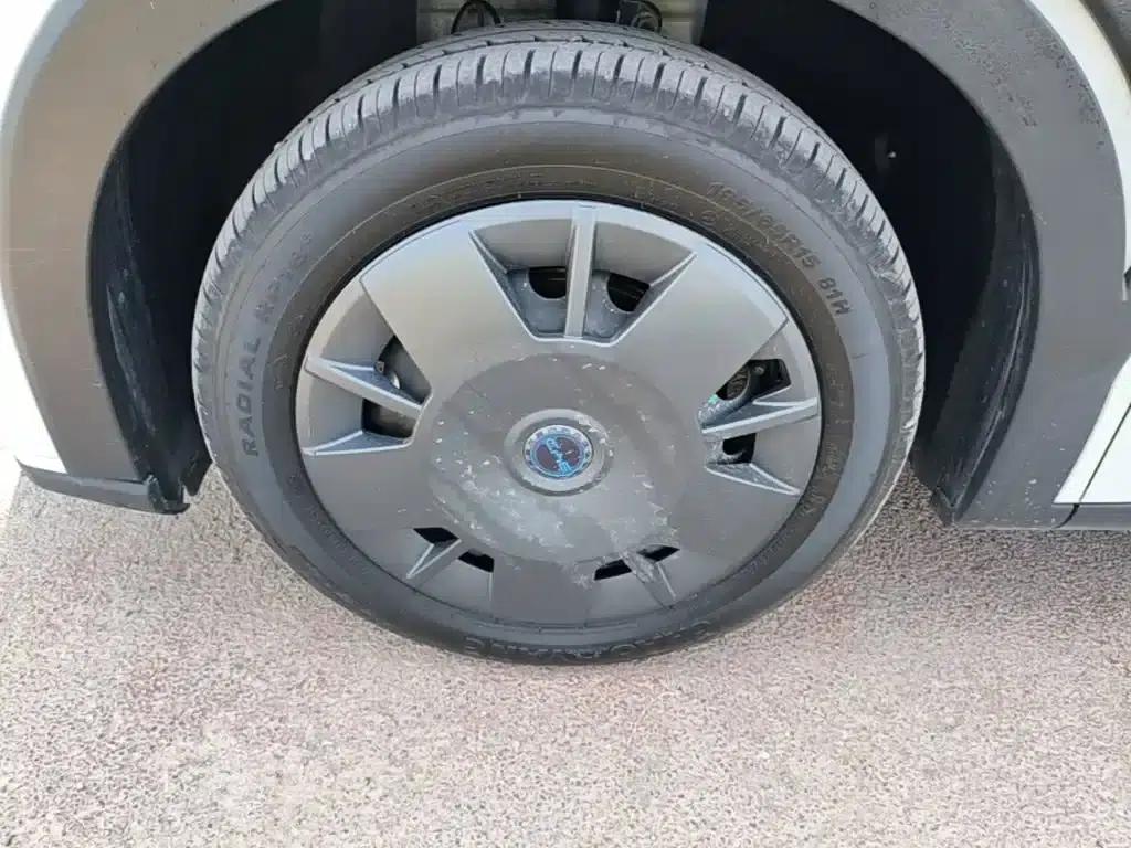 Seagull 2024 Glory Edition 305km/h Vitality Edition — миниатюра 23