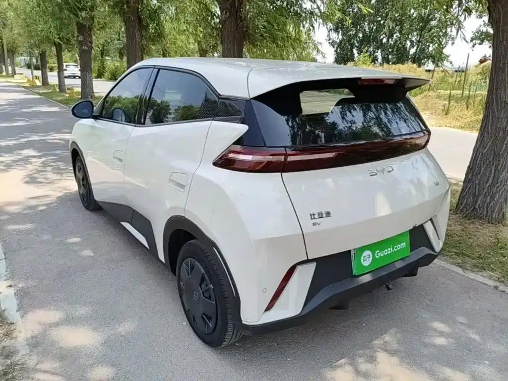 Seagull 2024 Glory Edition 305km/h Vitality Edition — миниатюра 5