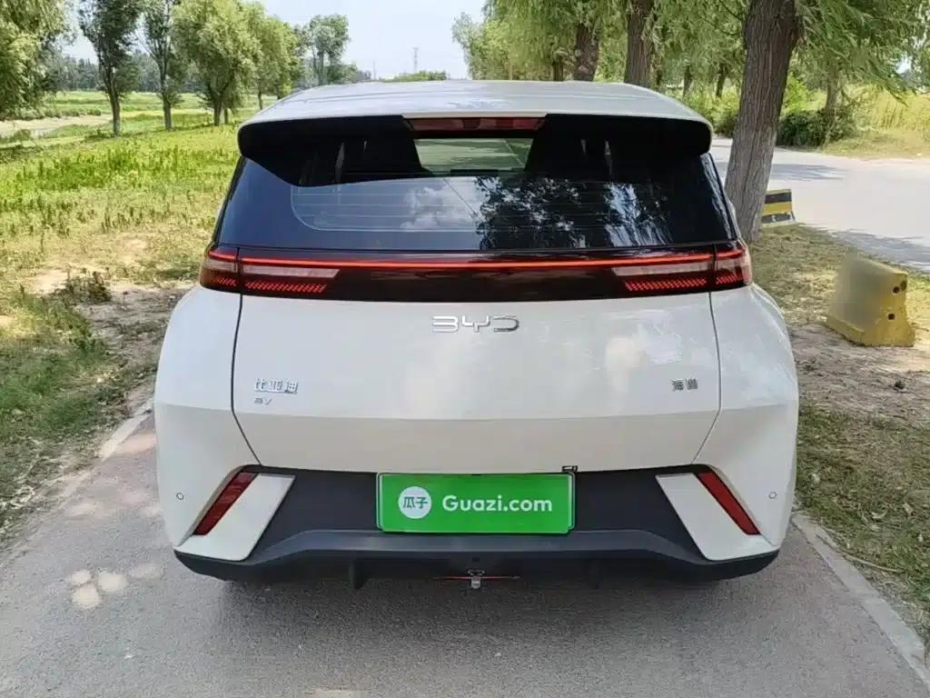 Seagull 2024 Glory Edition 305km/h Vitality Edition — миниатюра 6