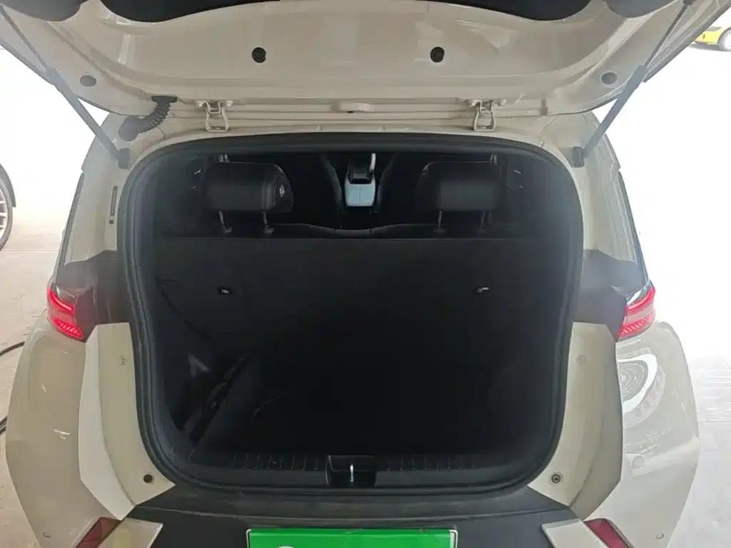 Seagull 2023 Flying Edition — миниатюра 19