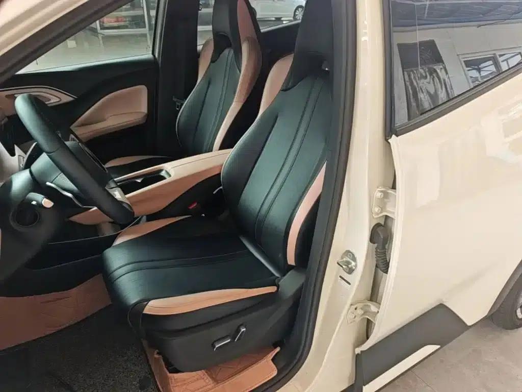 Seagull 2025 Smart Driving Edition 305km Freedom Edition — миниатюра 15