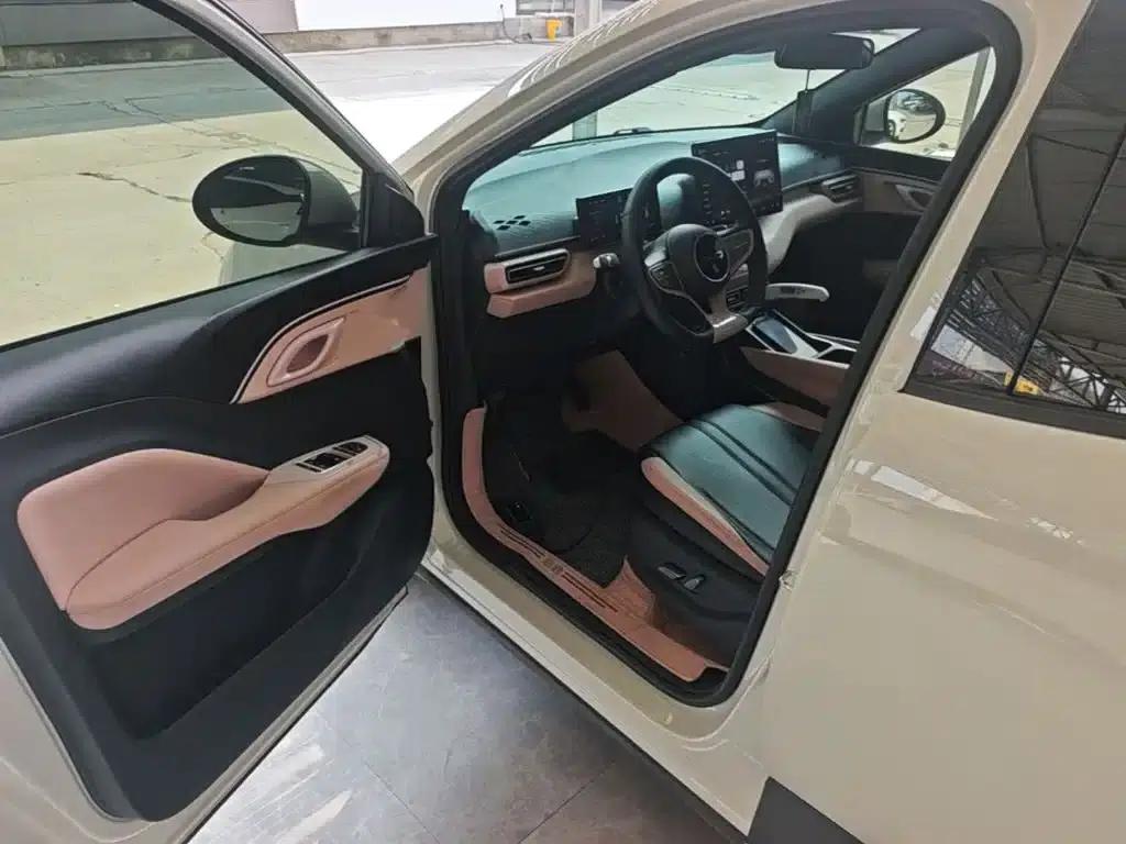 Seagull 2025 Smart Driving Edition 305km Freedom Edition — миниатюра 16