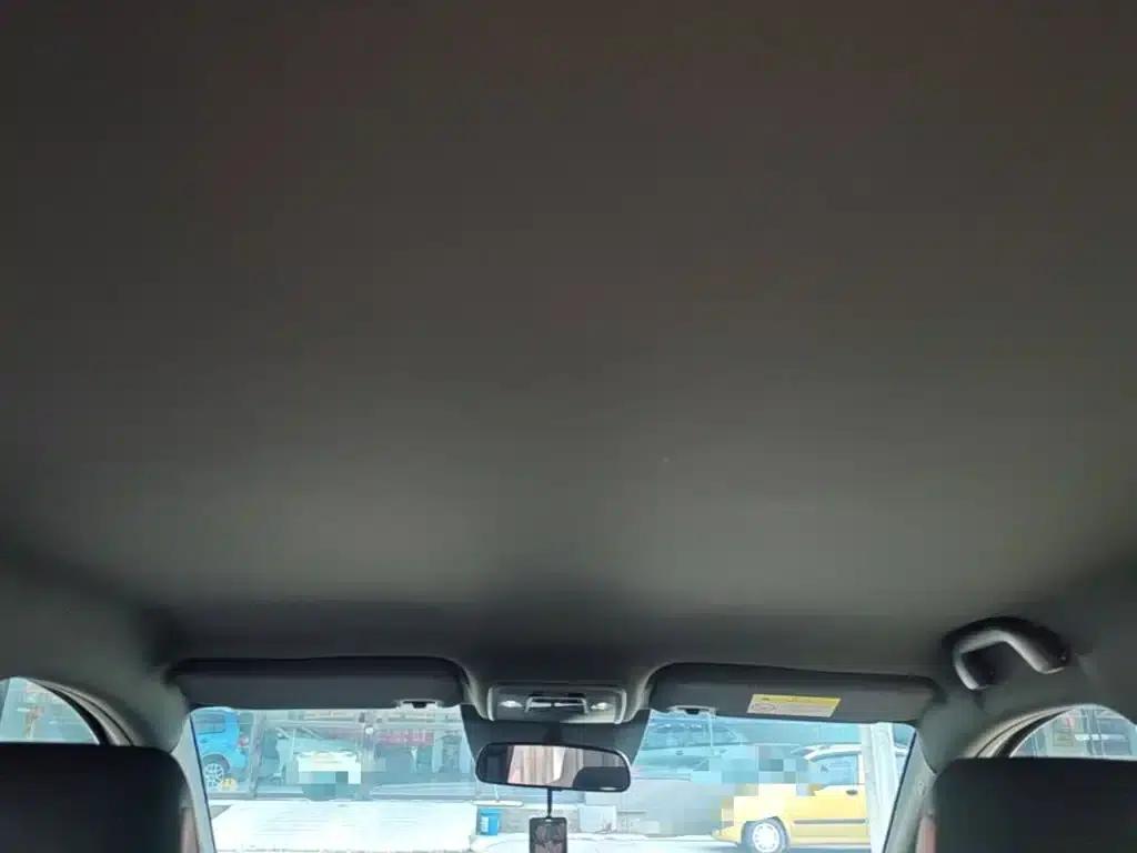 Seagull 2025 Smart Driving Edition 305km Freedom Edition — миниатюра 18