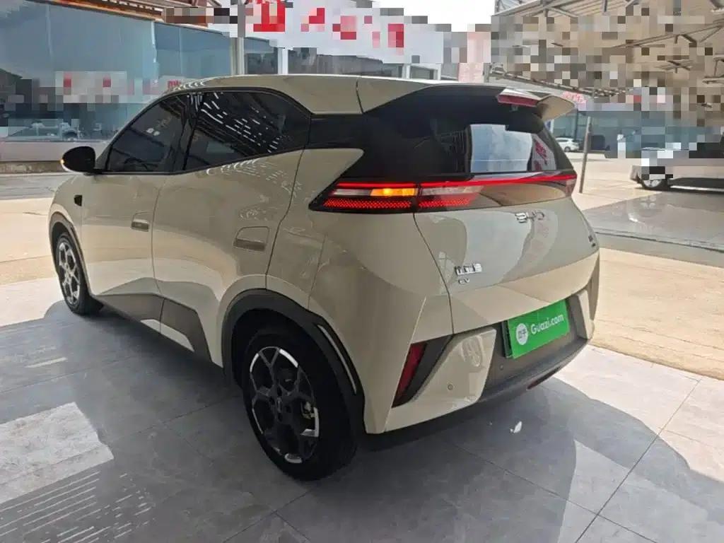 Seagull 2025 Smart Driving Edition 305km Freedom Edition — миниатюра 5