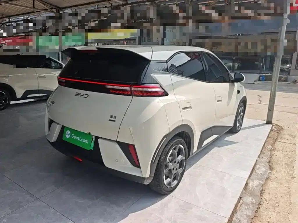 Seagull 2025 Smart Driving Edition 305km Freedom Edition — миниатюра 7