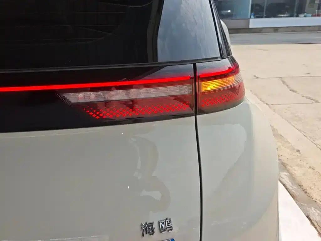 Seagull 2025 Smart Driving Edition 305km Freedom Edition — миниатюра 8
