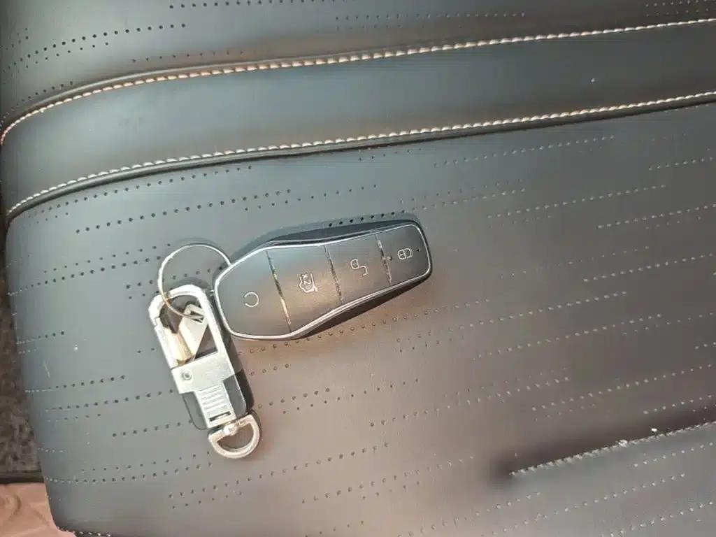 Seagull 2025 Smart Driving Edition 305km Freedom Edition — миниатюра 9