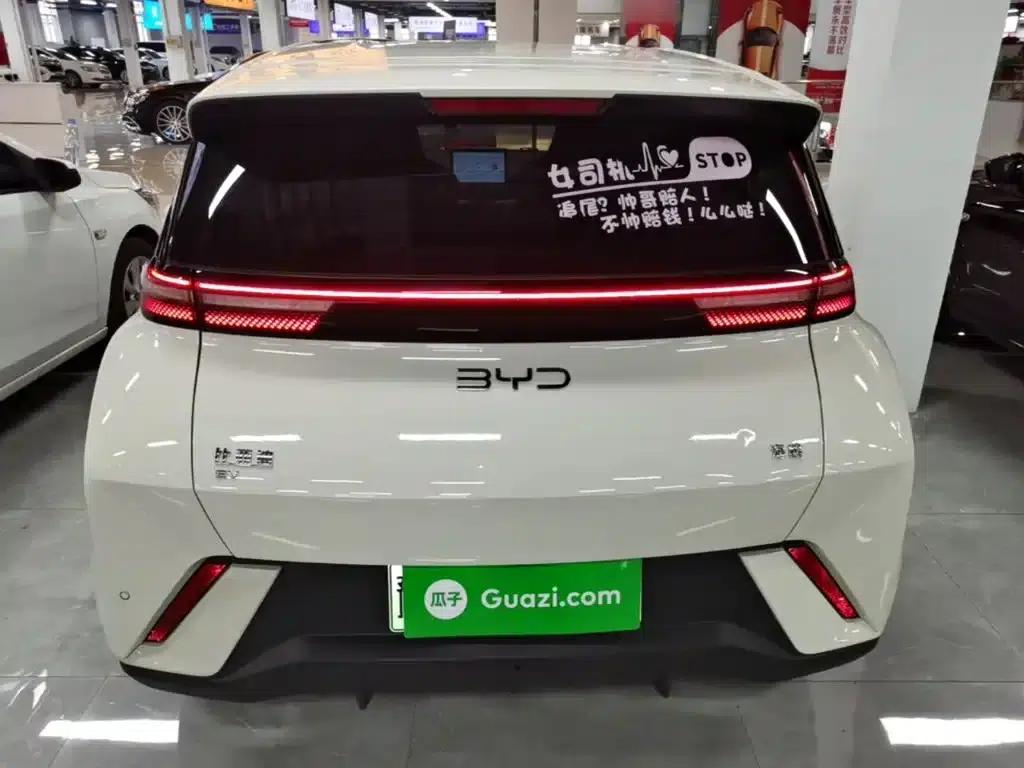 Seagull 2025 305km/h Dynamic Edition — миниатюра 6