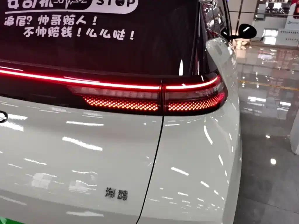 Seagull 2025 305km/h Dynamic Edition — миниатюра 8