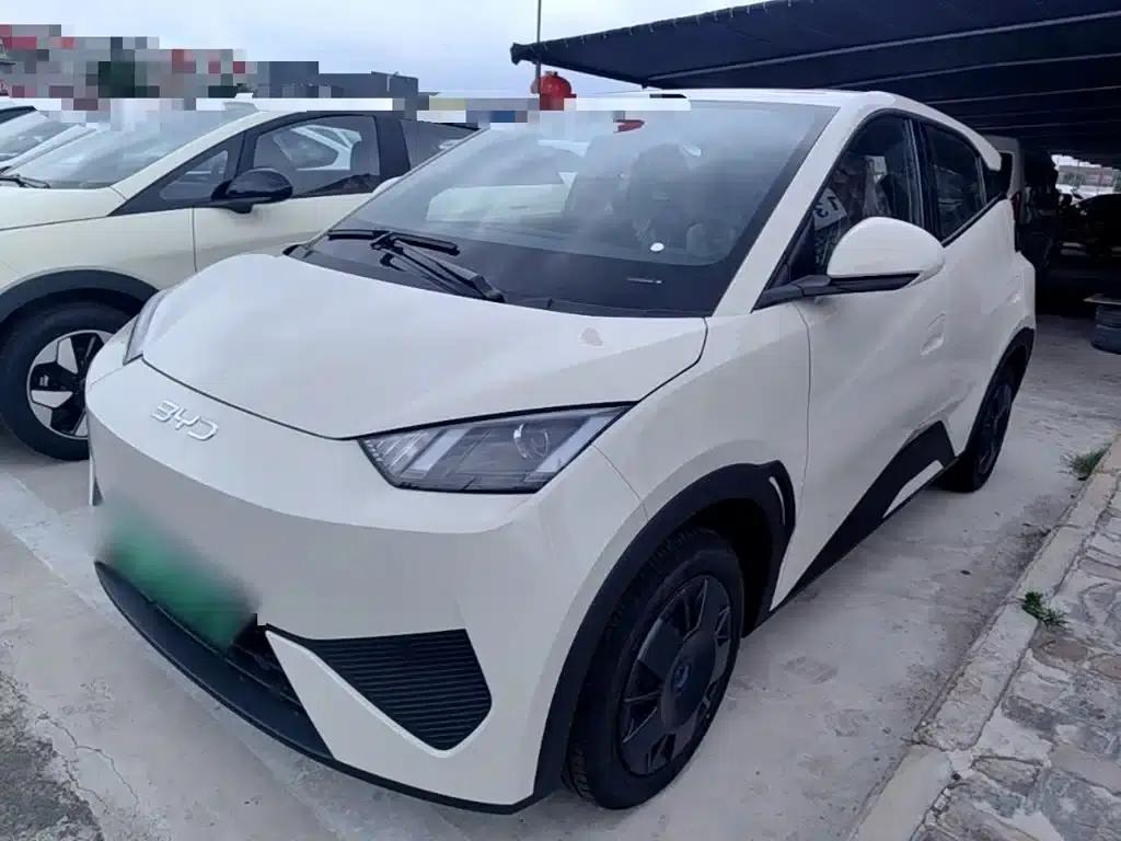 Seagull 2025 Smart Driving Edition 305km Vitality Edition — миниатюра 2