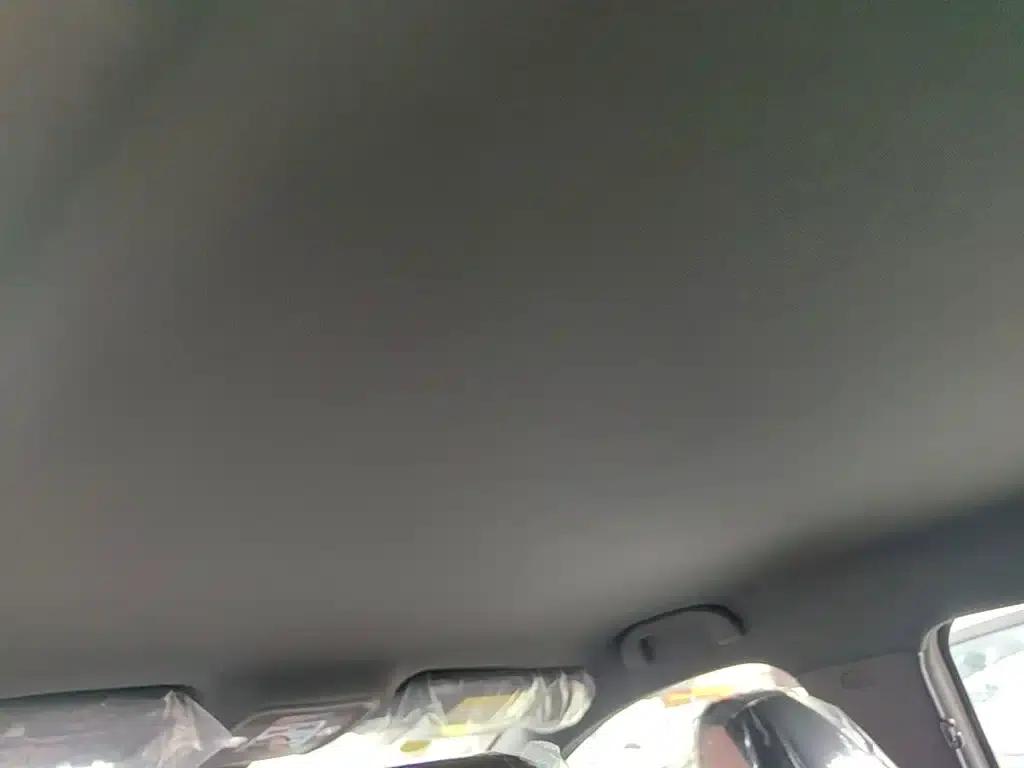 Seagull 2025 Smart Driving Edition 305km Vitality Edition — миниатюра 18