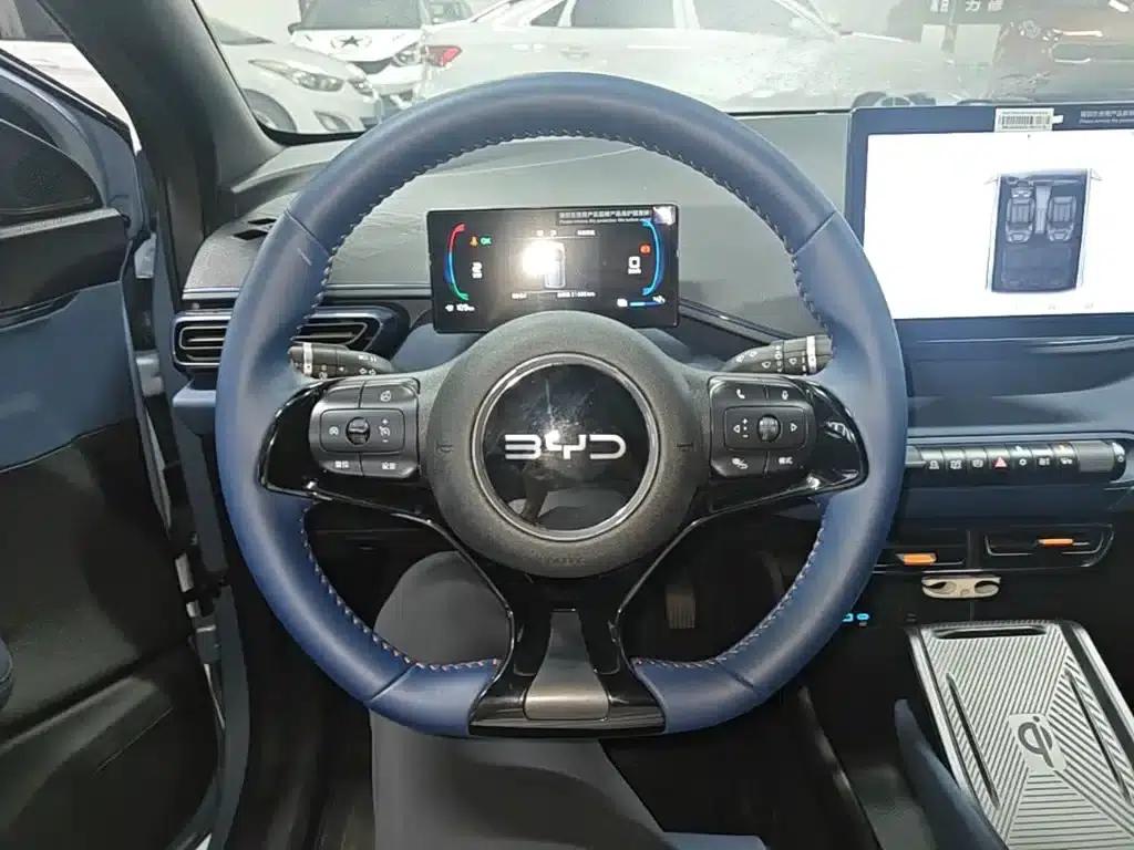 Seagull 2025 305km Freedom Edition — миниатюра 11