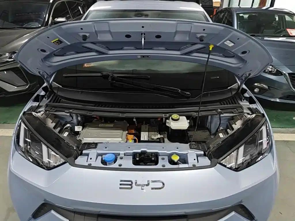 Seagull 2025 305km Freedom Edition — миниатюра 20