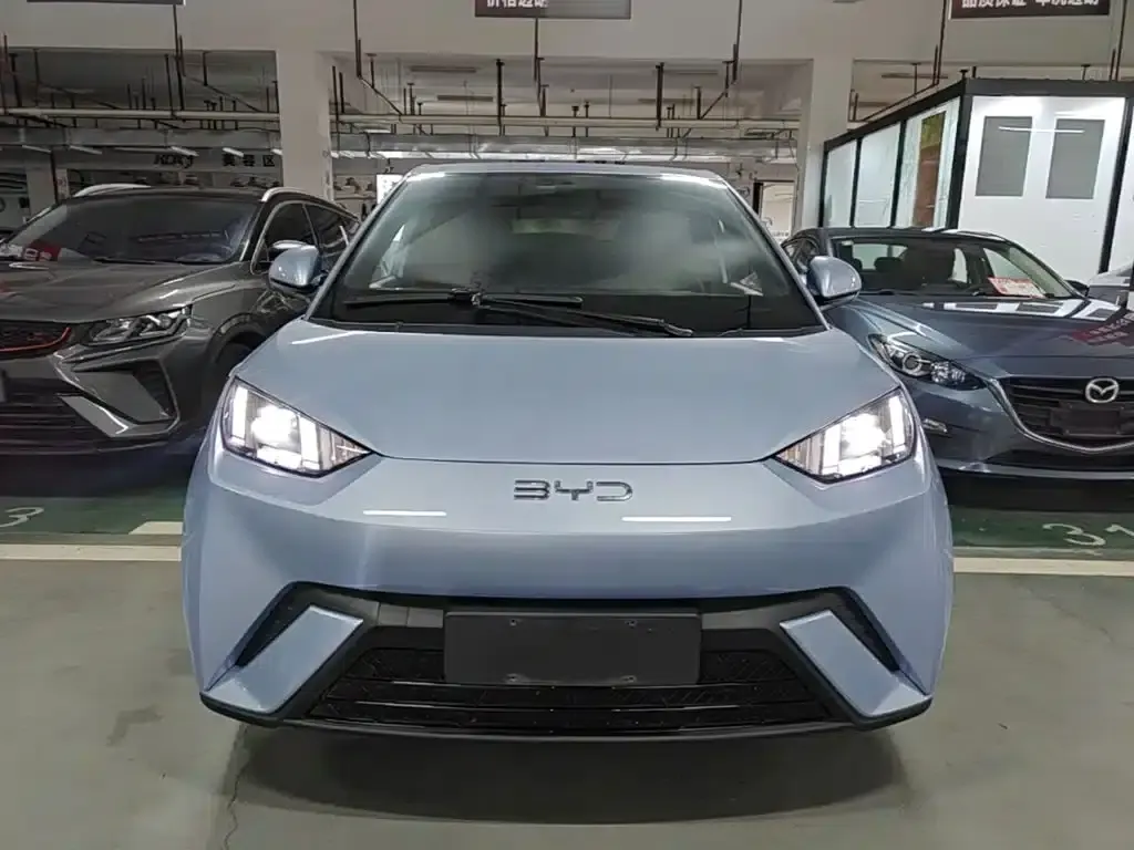 Seagull 2025 305km Freedom Edition — миниатюра 3