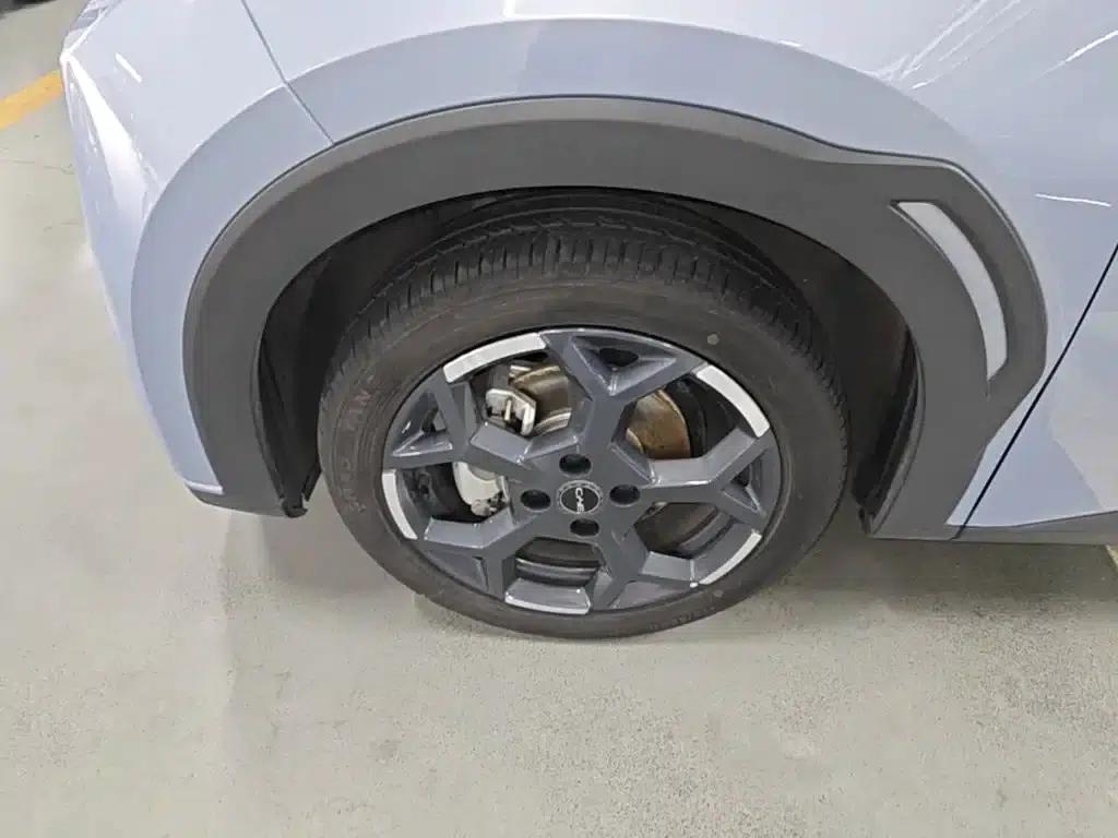 Seagull 2025 305km Freedom Edition — миниатюра 23