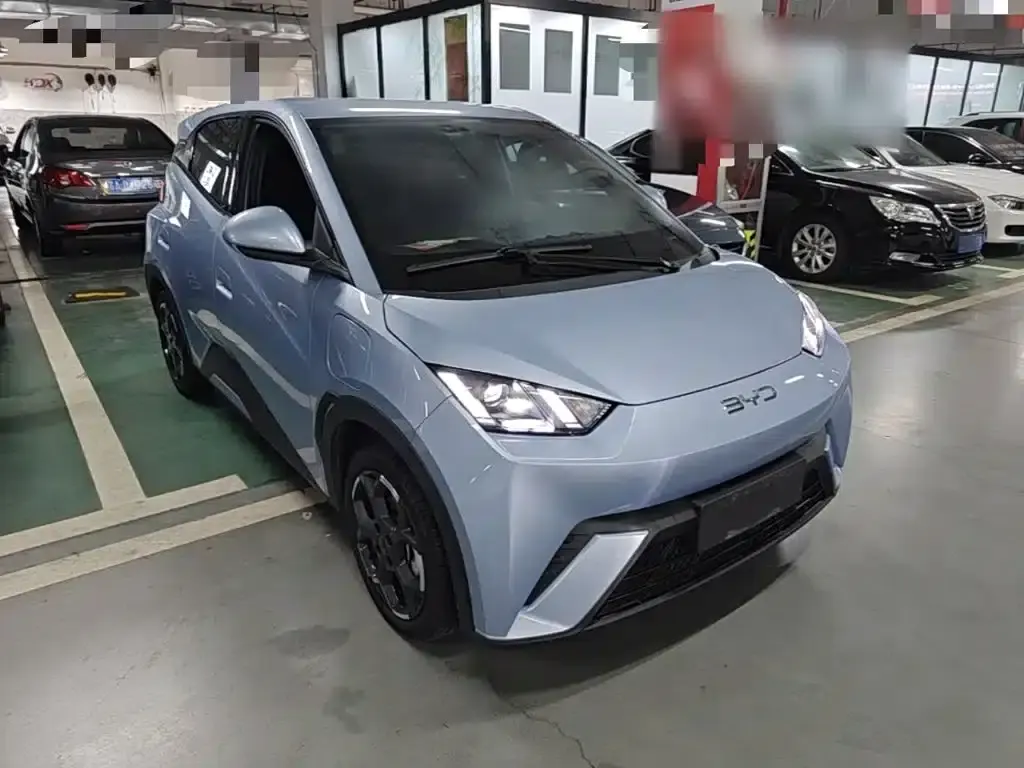 Seagull 2025 305km Freedom Edition — миниатюра 4