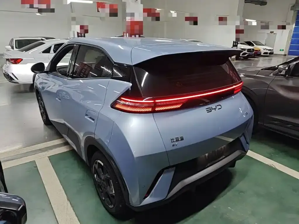 Seagull 2025 305km Freedom Edition — миниатюра 5
