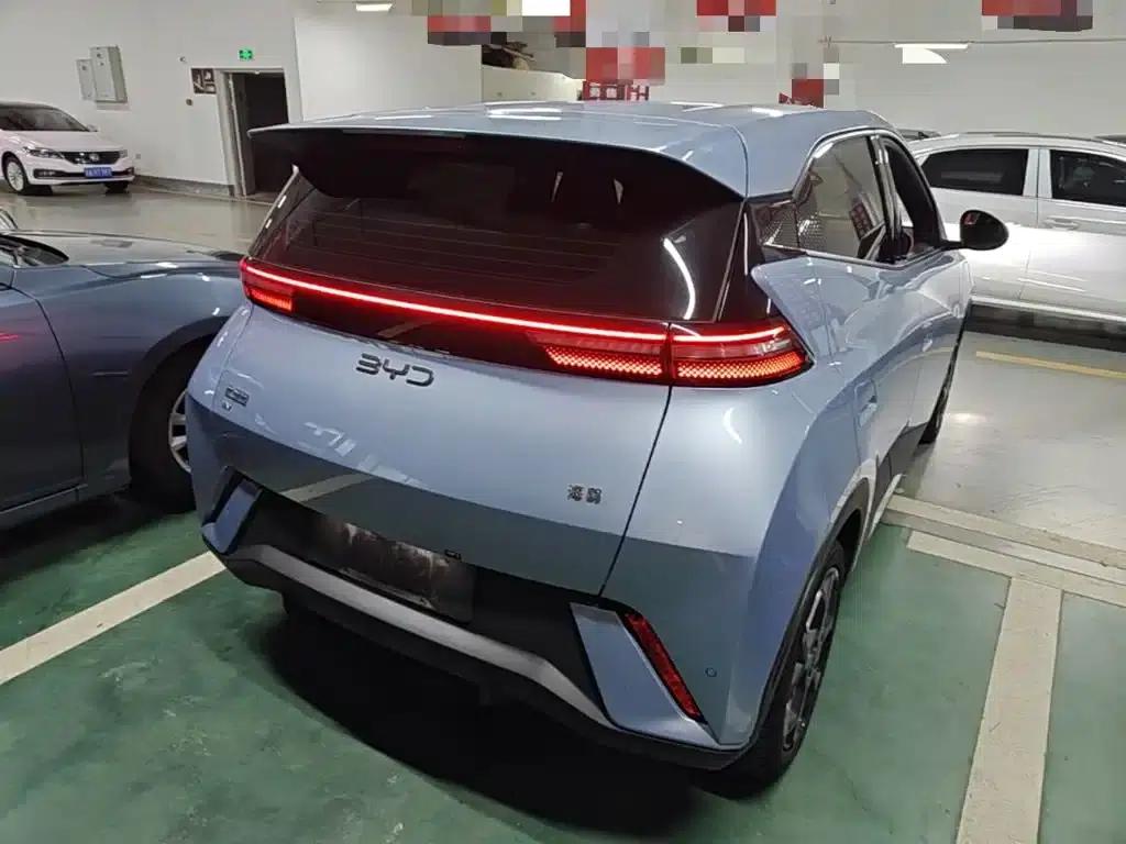 Seagull 2025 305km Freedom Edition — миниатюра 7