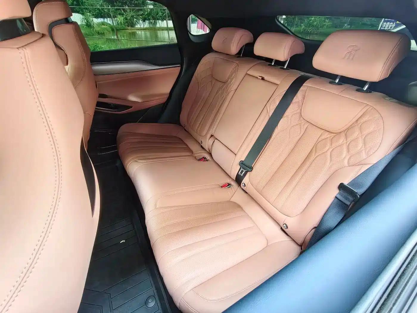 Song L EV 2024 550km Excellent Edition — миниатюра 10