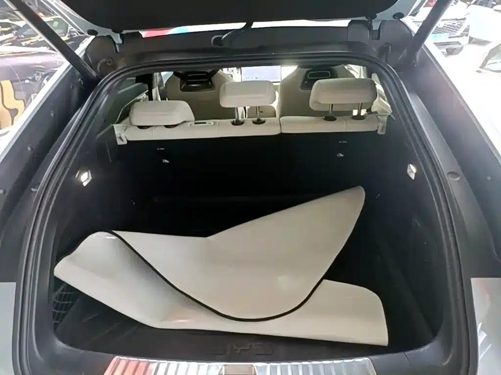 Song L EV 2024 550km Excellent Edition — миниатюра 19