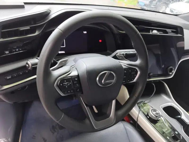 Lexus RZ 2023 450e DIRECT4 Luxury Edition — миниатюра 11