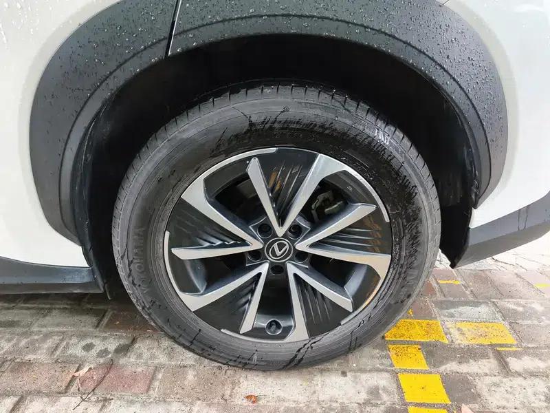Lexus RZ 2023 450e DIRECT4 Luxury Edition — миниатюра 20