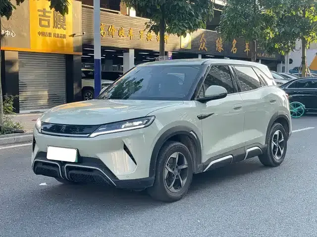 Yuan UP 2024 Model 401KM Leading Edition