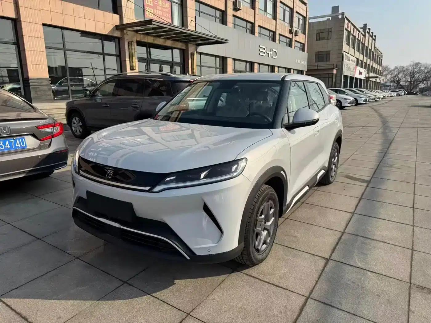 Yuan UP 2024 Model 301KM Leading Edition — миниатюра 1