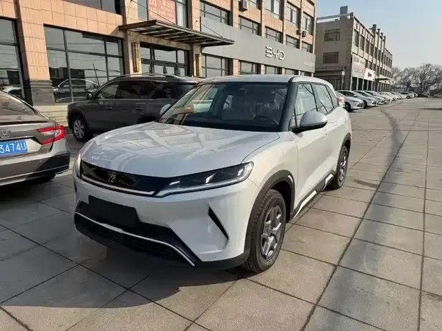 Yuan UP 2024 Model 301KM Leading Edition