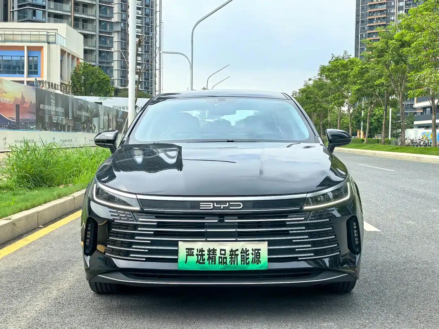 Destroyer 05 2024 Glory Edition DM-i 55KM Luxury Model — миниатюра 2