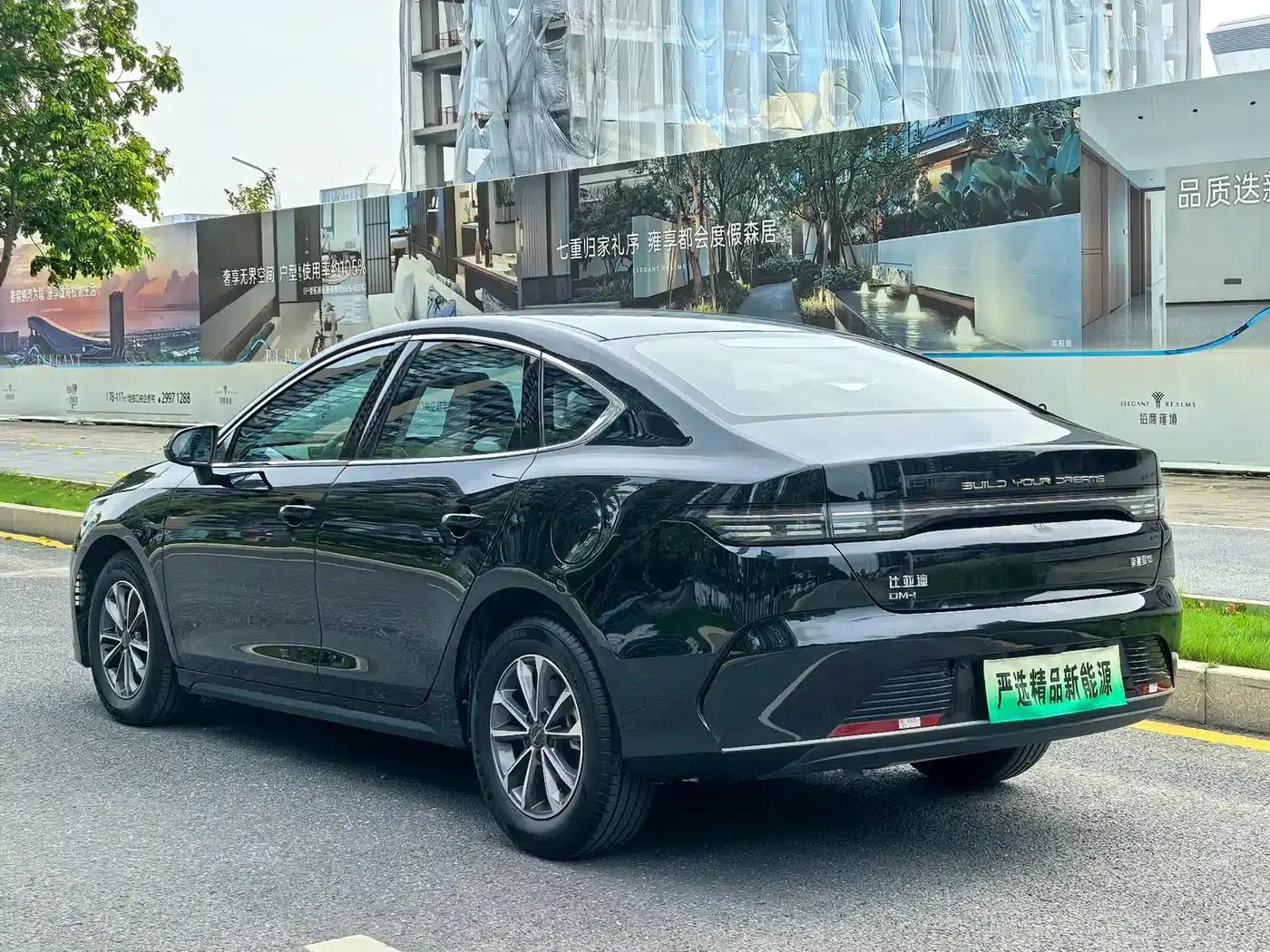 Destroyer 05 2024 Glory Edition DM-i 55KM Luxury Model — миниатюра 26