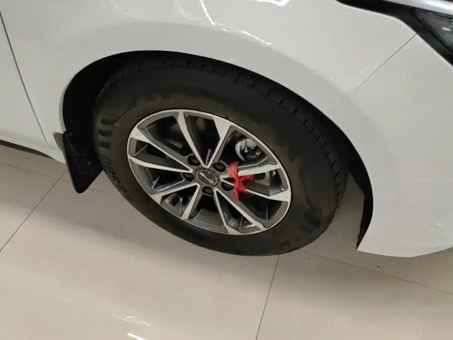 Destroyer 05 2023 Champion Edition DM-i 55KM Luxury — миниатюра 6