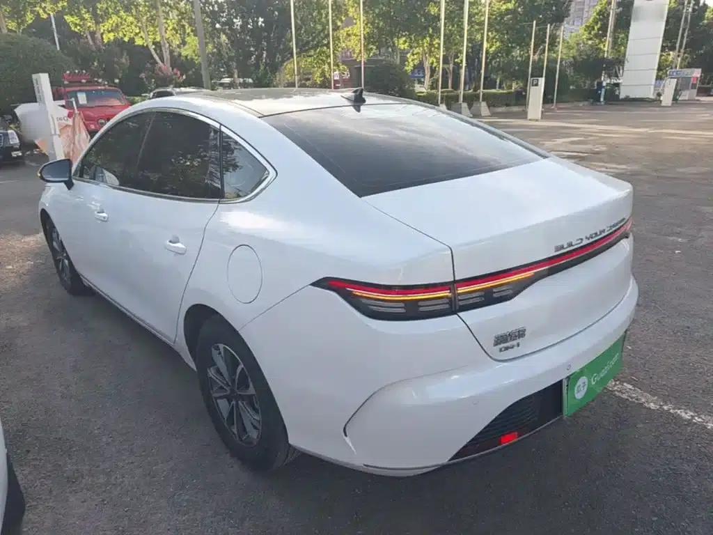 Destroyer 05 2023 Champion Edition DM-i 55KM Luxury — миниатюра 5