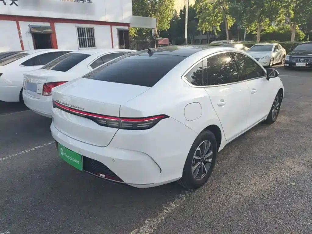 Destroyer 05 2023 Champion Edition DM-i 55KM Luxury — миниатюра 7