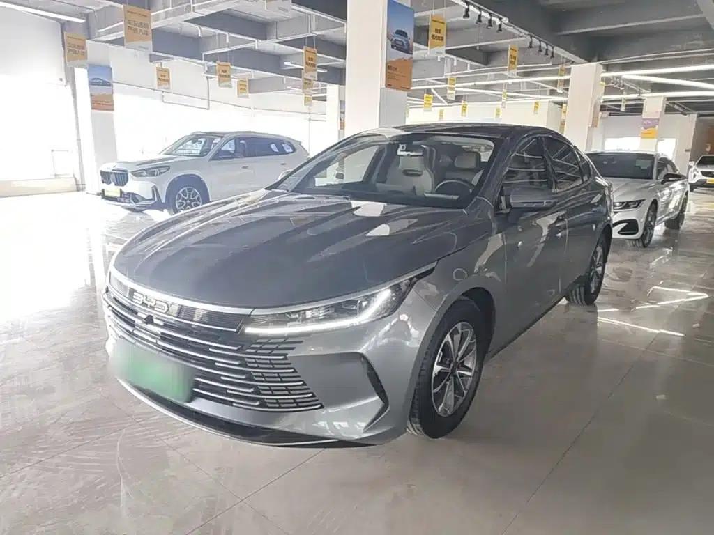 Destroyer 05 2024 Glory Edition DM-i 55KM Luxury Model — миниатюра 2