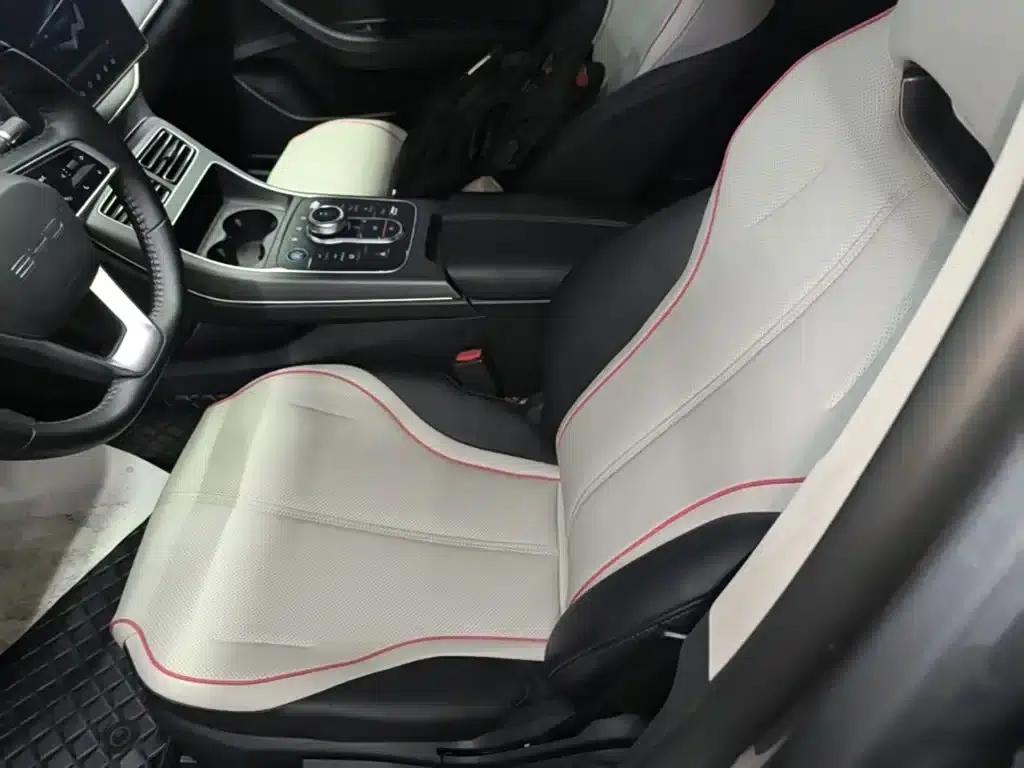Destroyer 05 2023 Champion Edition DM-i 55KM Luxury — миниатюра 15