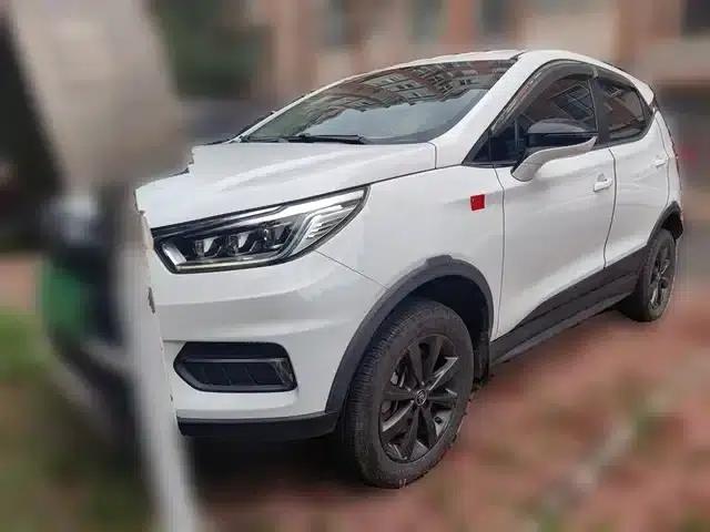 Yuan New Energy 2019 EV535 Intelligent Leading Edition