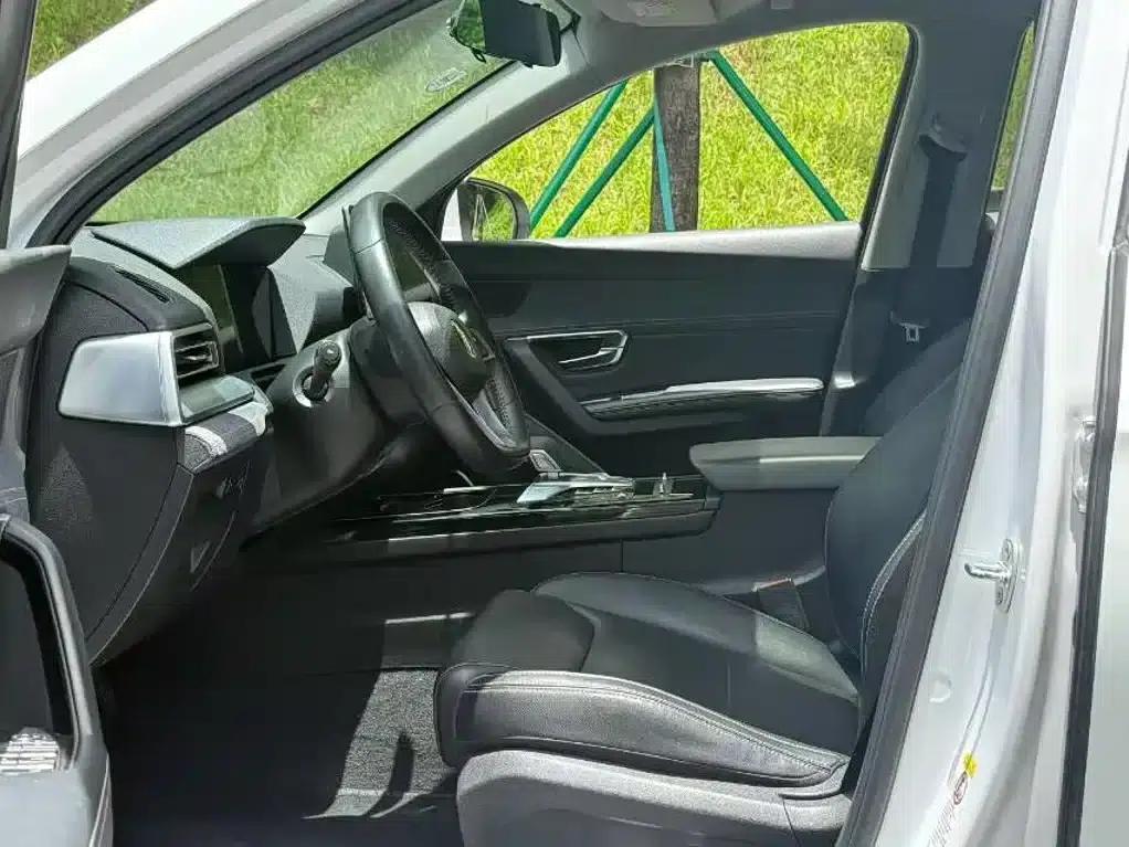 Song Pro New Energy 2019 DM 1.5T AWD Performance Luxury Edition — миниатюра 6