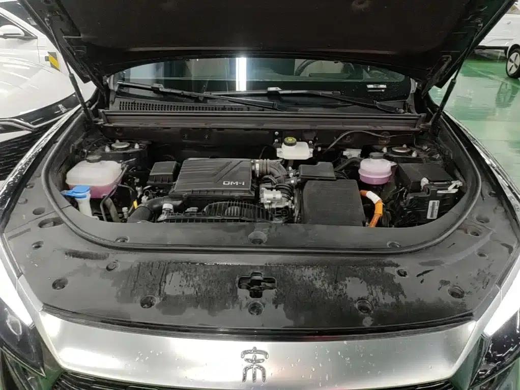 Song Pro New Energy 2024 Glory Edition DM-i 110KM Excellent Model — миниатюра 20