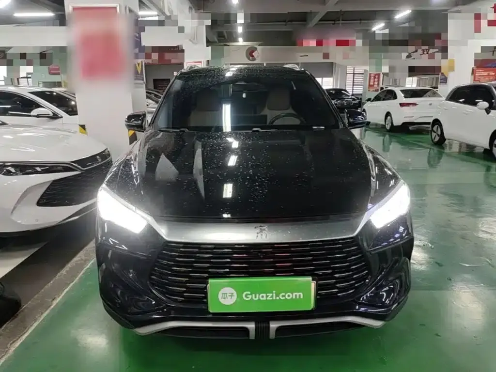 Song Pro New Energy 2024 Glory Edition DM-i 110KM Excellent Model — миниатюра 3