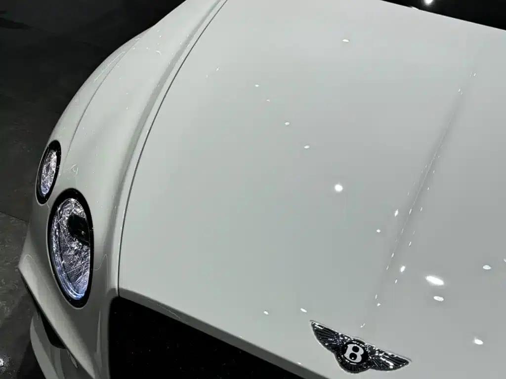 2022 Continental 4.0T GT V8 — миниатюра 6