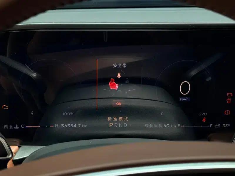 Lincoln Z 2025 2.0T Two-Wheel Drive Premium Hybrid — миниатюра 18