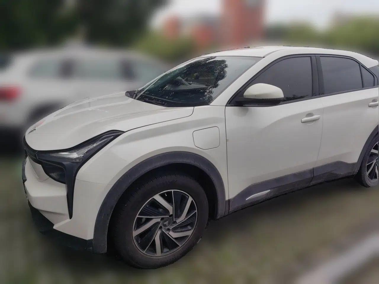NETA U 2021 Revised Pro 400 Industry Custom Edition — миниатюра 1