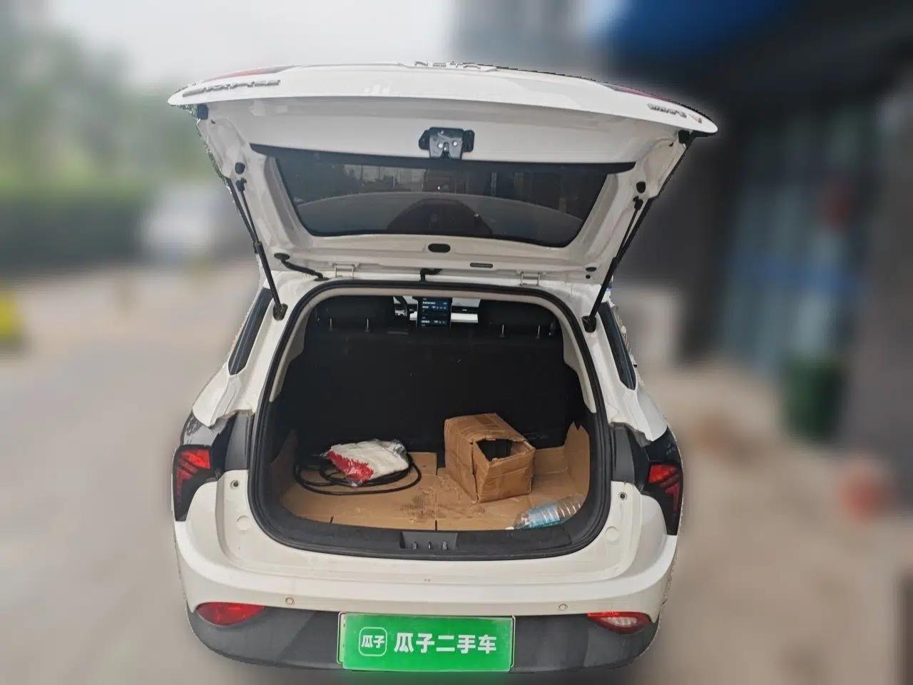 NETA V 2021 Standard Range Entertainment Version – Upgraded Model — миниатюра 19
