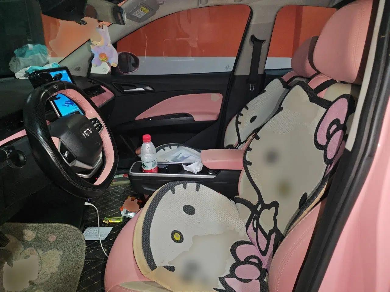 NETA V 2022 Chao 400 Lite Pink Custom Edition — миниатюра 12